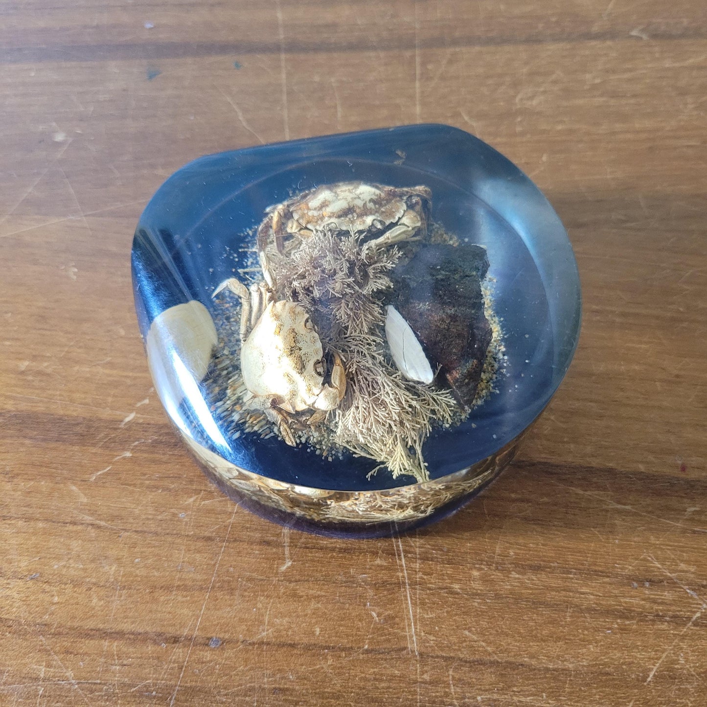 1970s 'seashore' filled resin paperweight