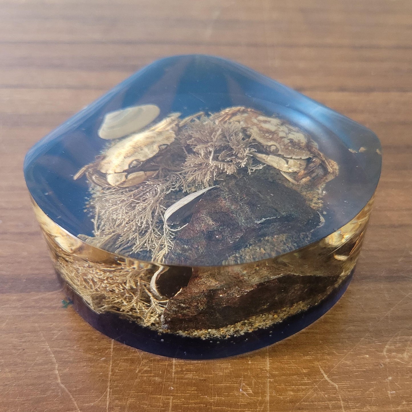 1970s 'seashore' filled resin paperweight