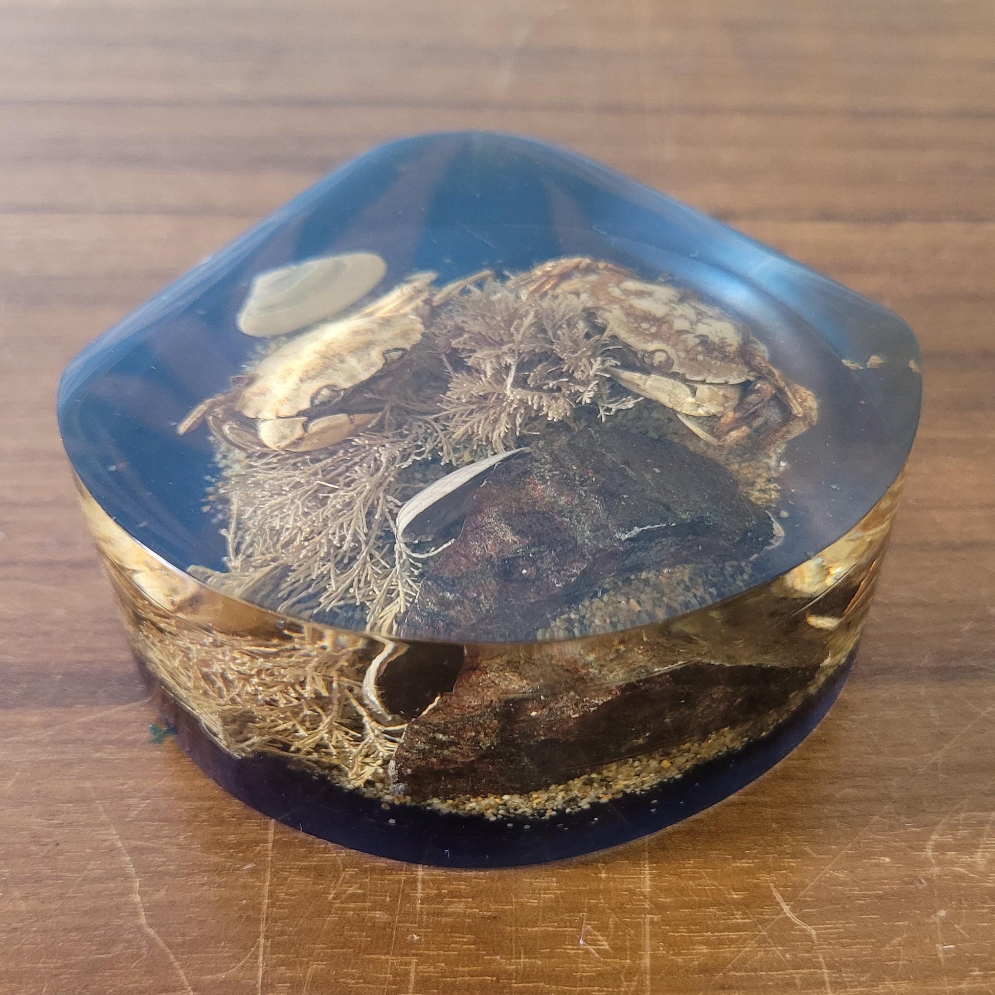 1970s 'seashore' filled resin paperweight