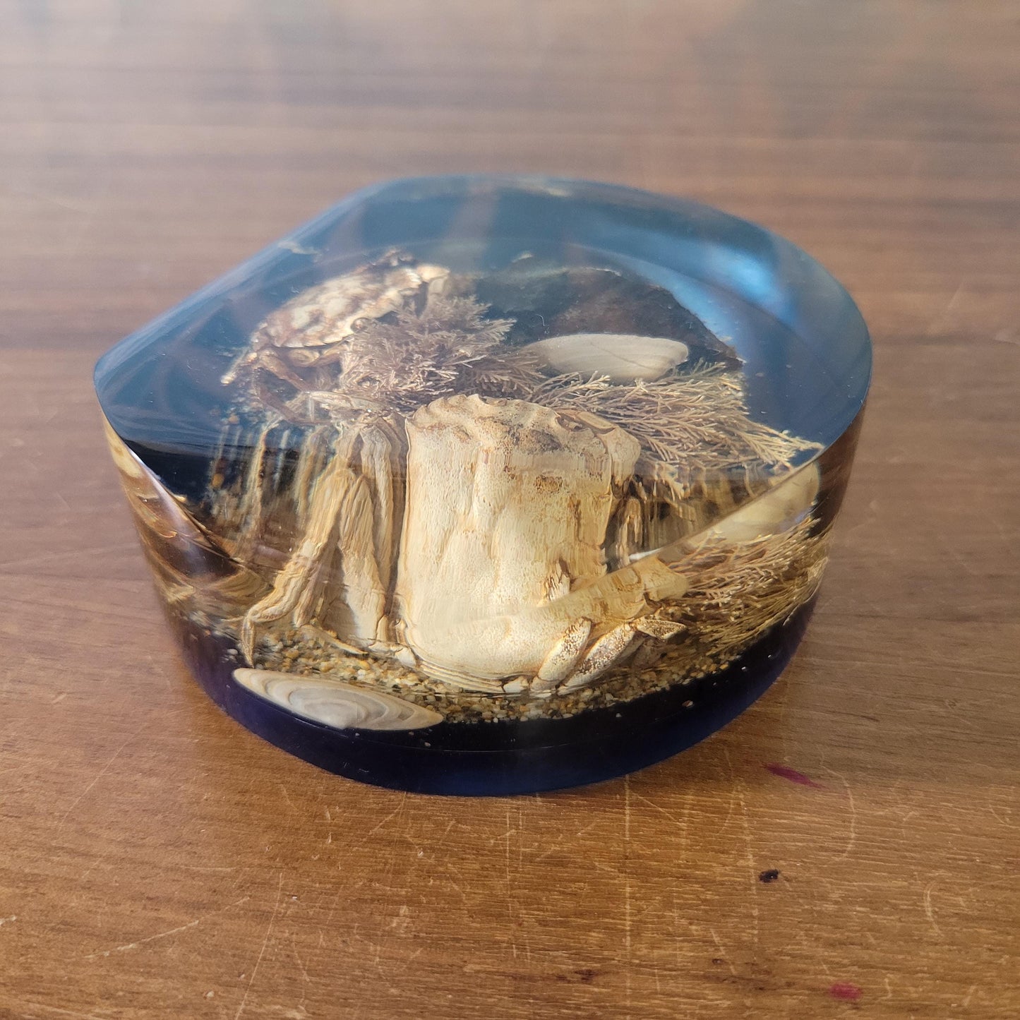 1970s 'seashore' filled resin paperweight