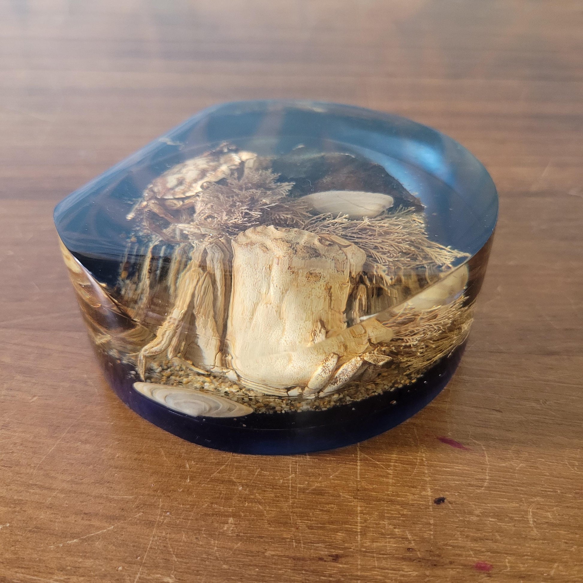 1970s 'seashore' filled resin paperweight