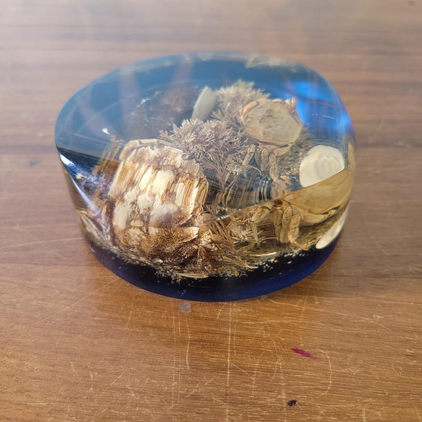 1970s 'seashore' filled resin paperweight