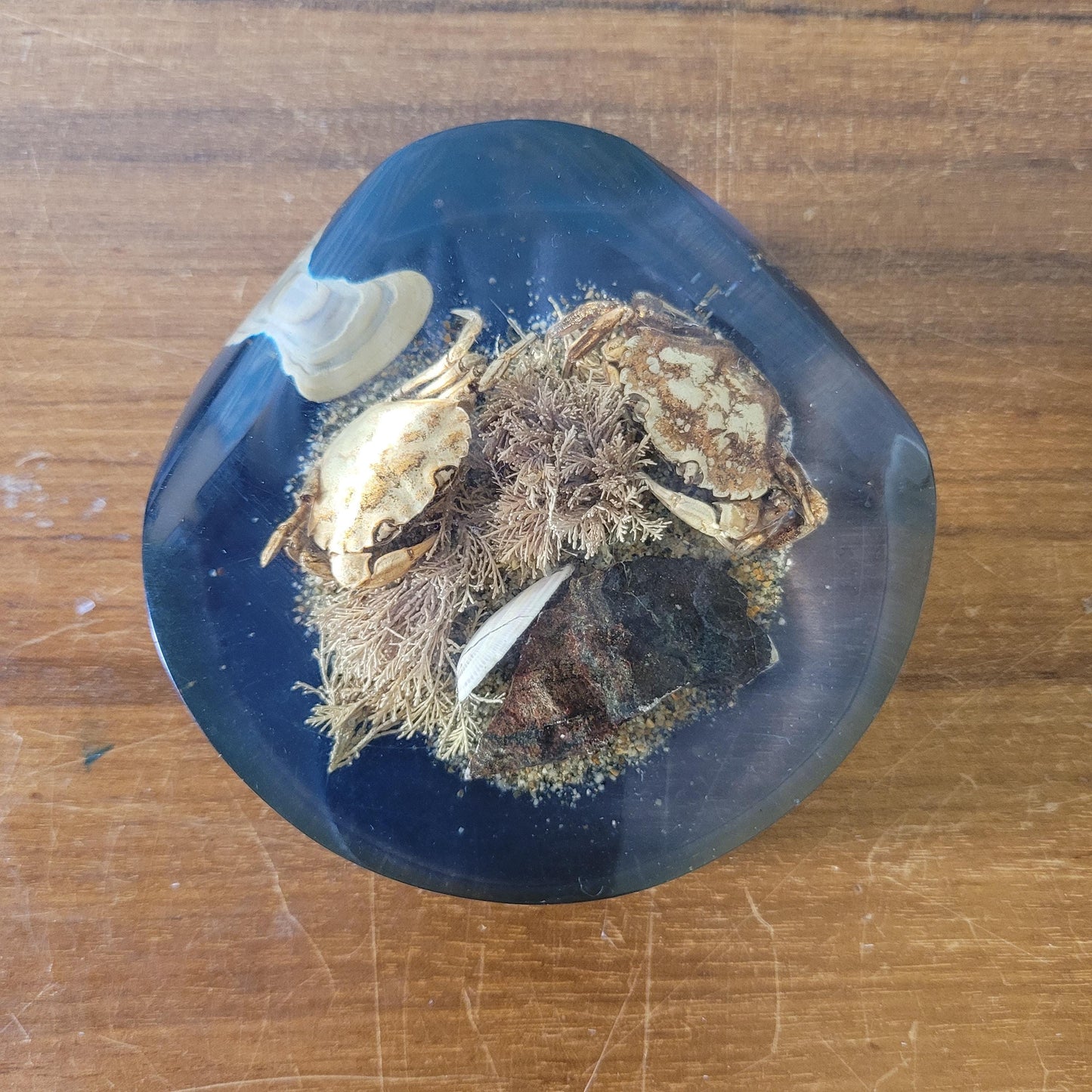 1970s 'seashore' filled resin paperweight