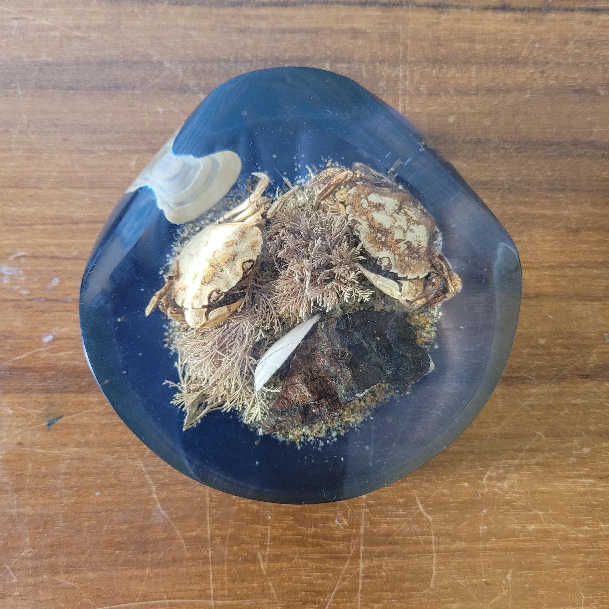 1970s 'seashore' filled resin paperweight