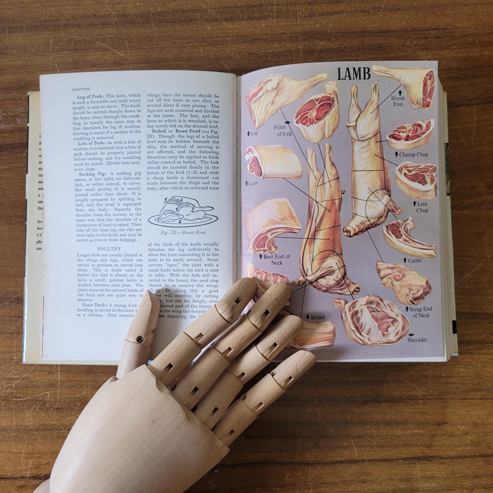 Mrs Beeton's All About Cookery (Hardback, 1961)