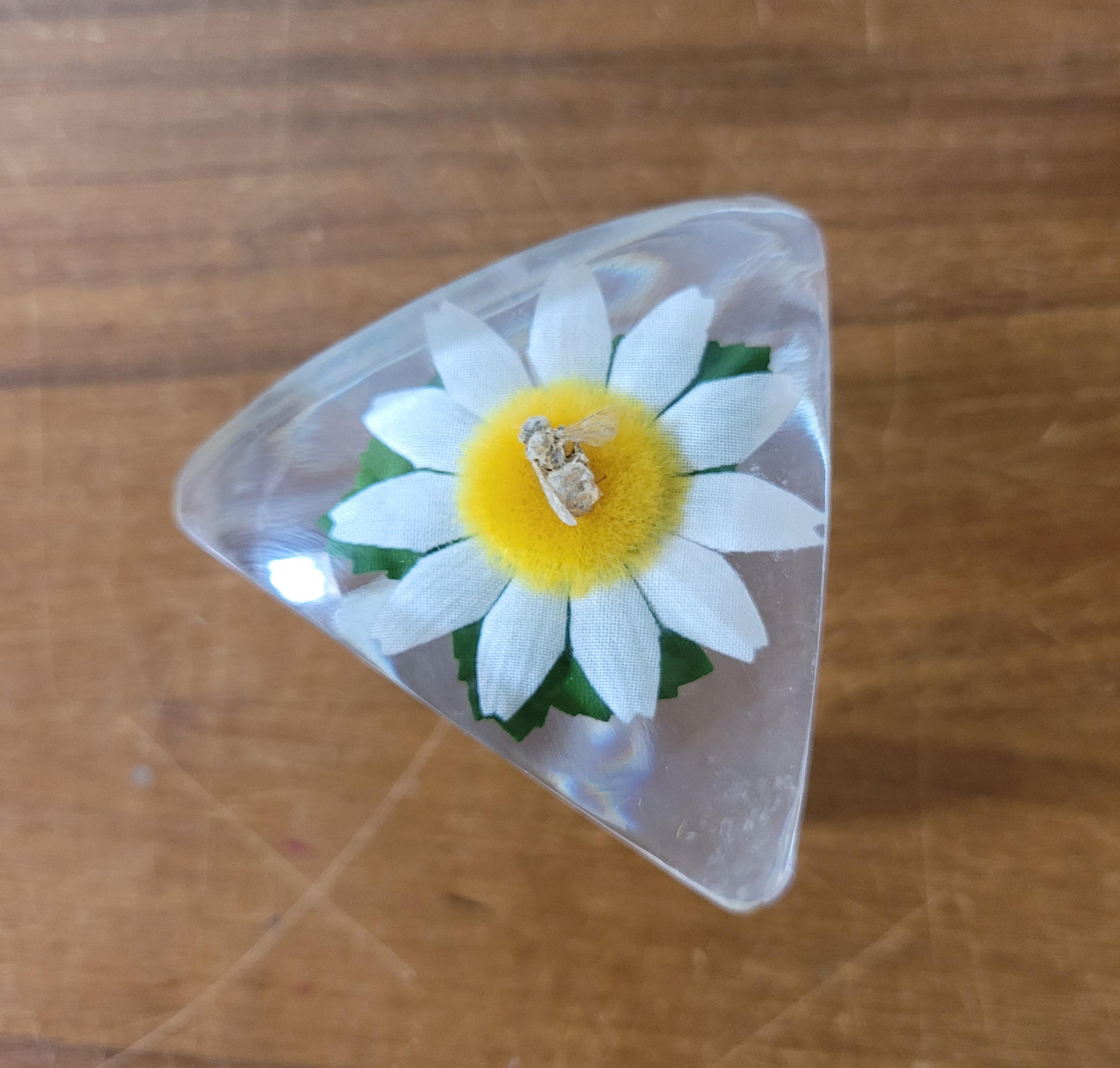 Vintage triangular acrylic preserve pot wth daisy and bee
