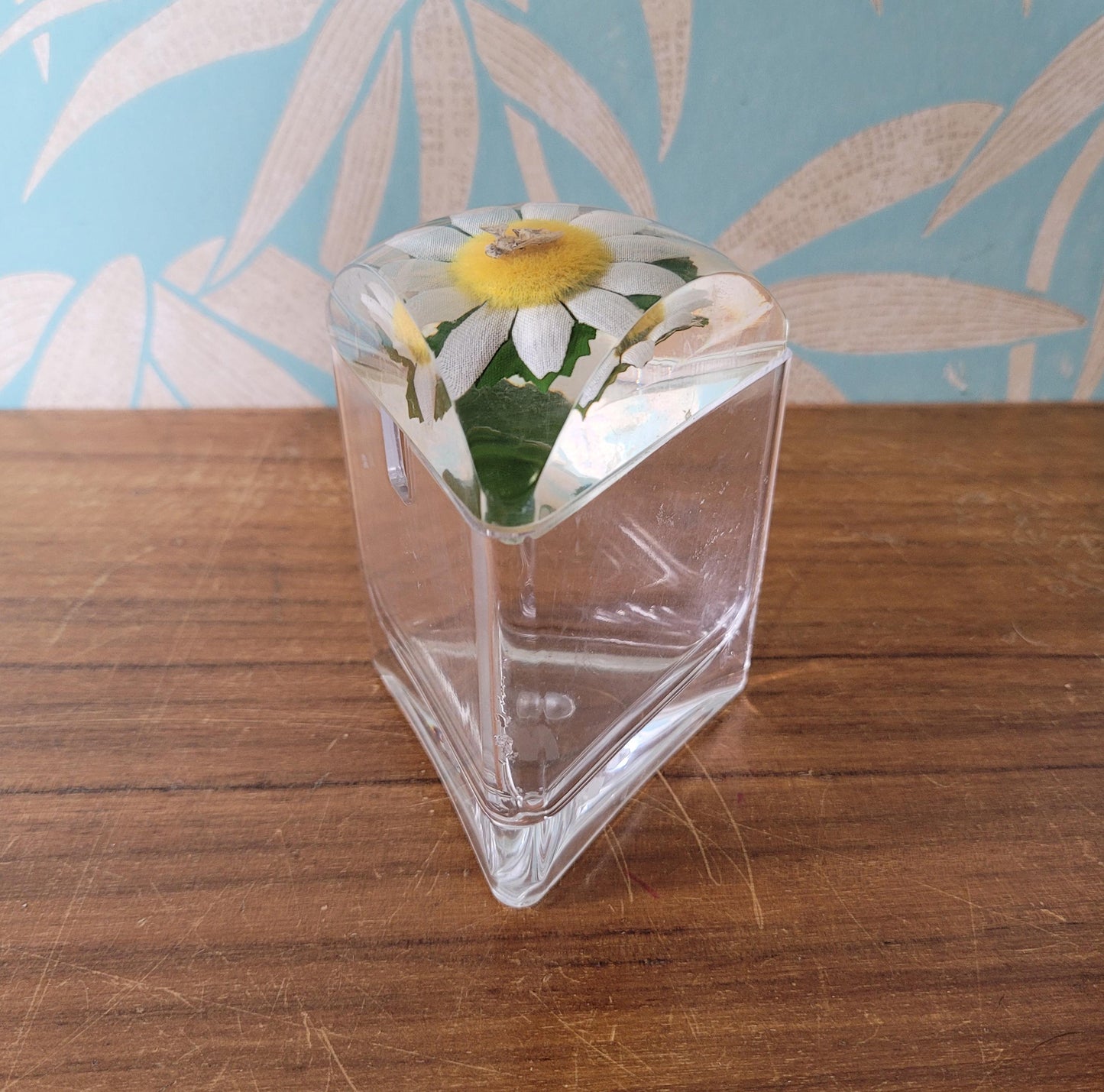 Vintage triangular acrylic preserve pot wth daisy and bee