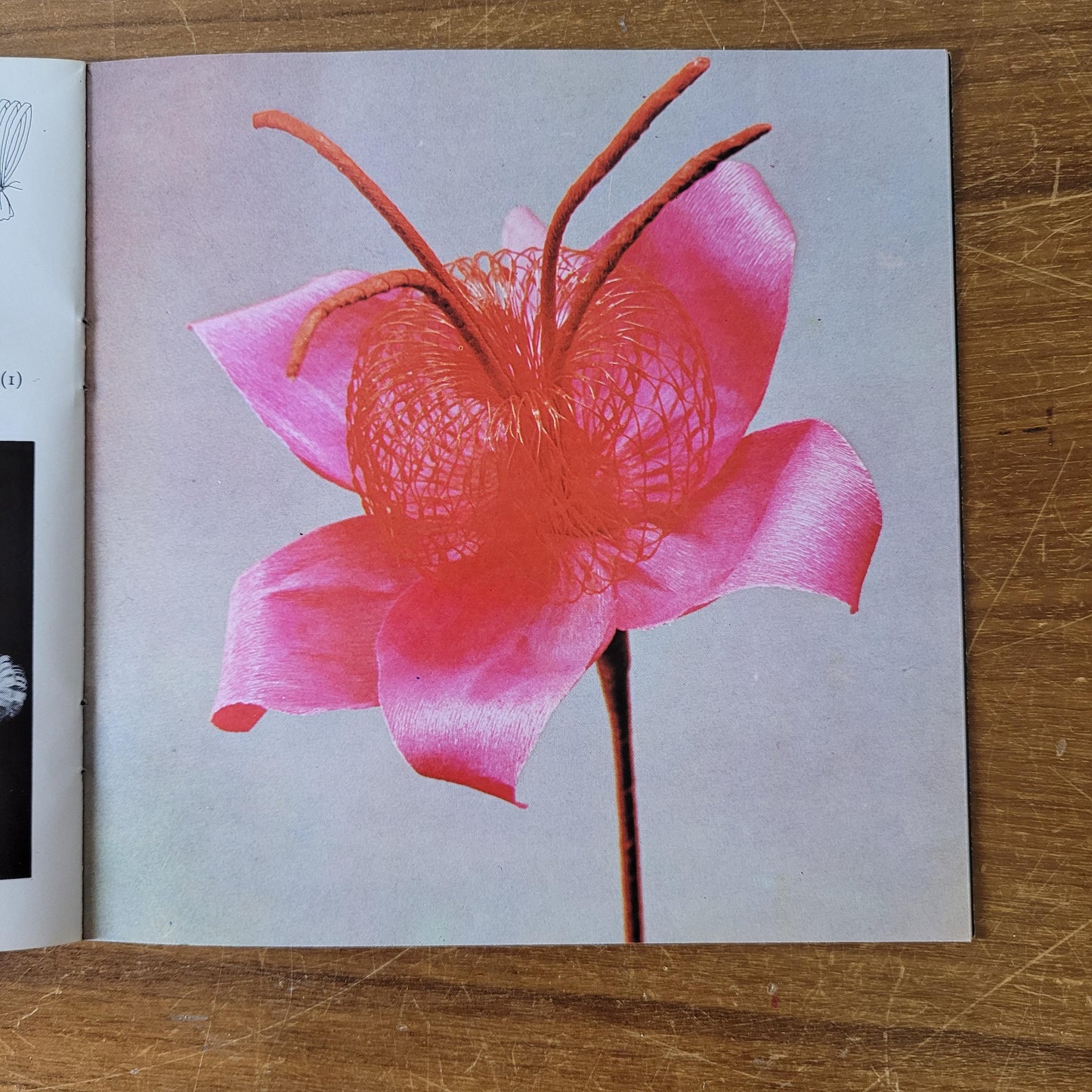 Leisure Crafts No.42: Paper Flowers, by Kit Pitman (Softback, 1973)