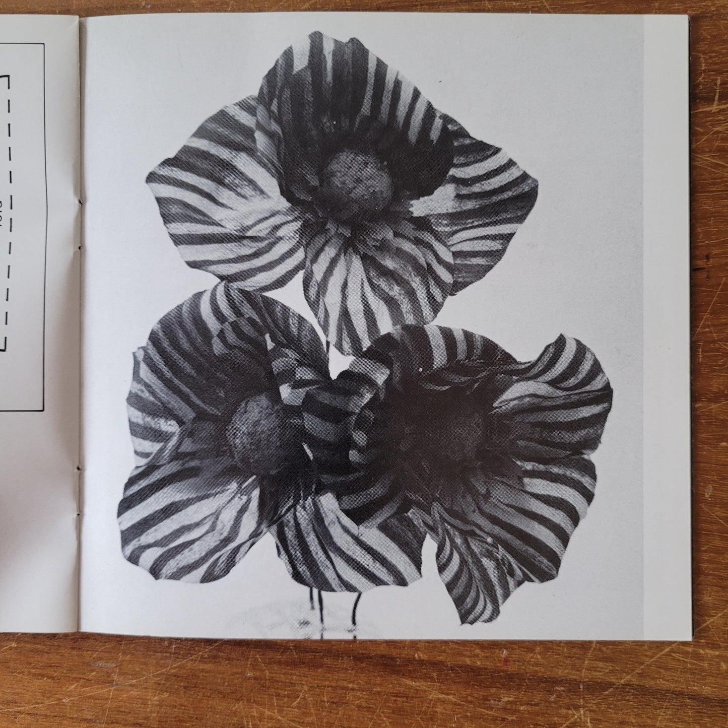 Leisure Crafts No.42: Paper Flowers, by Kit Pitman (Softback, 1973)