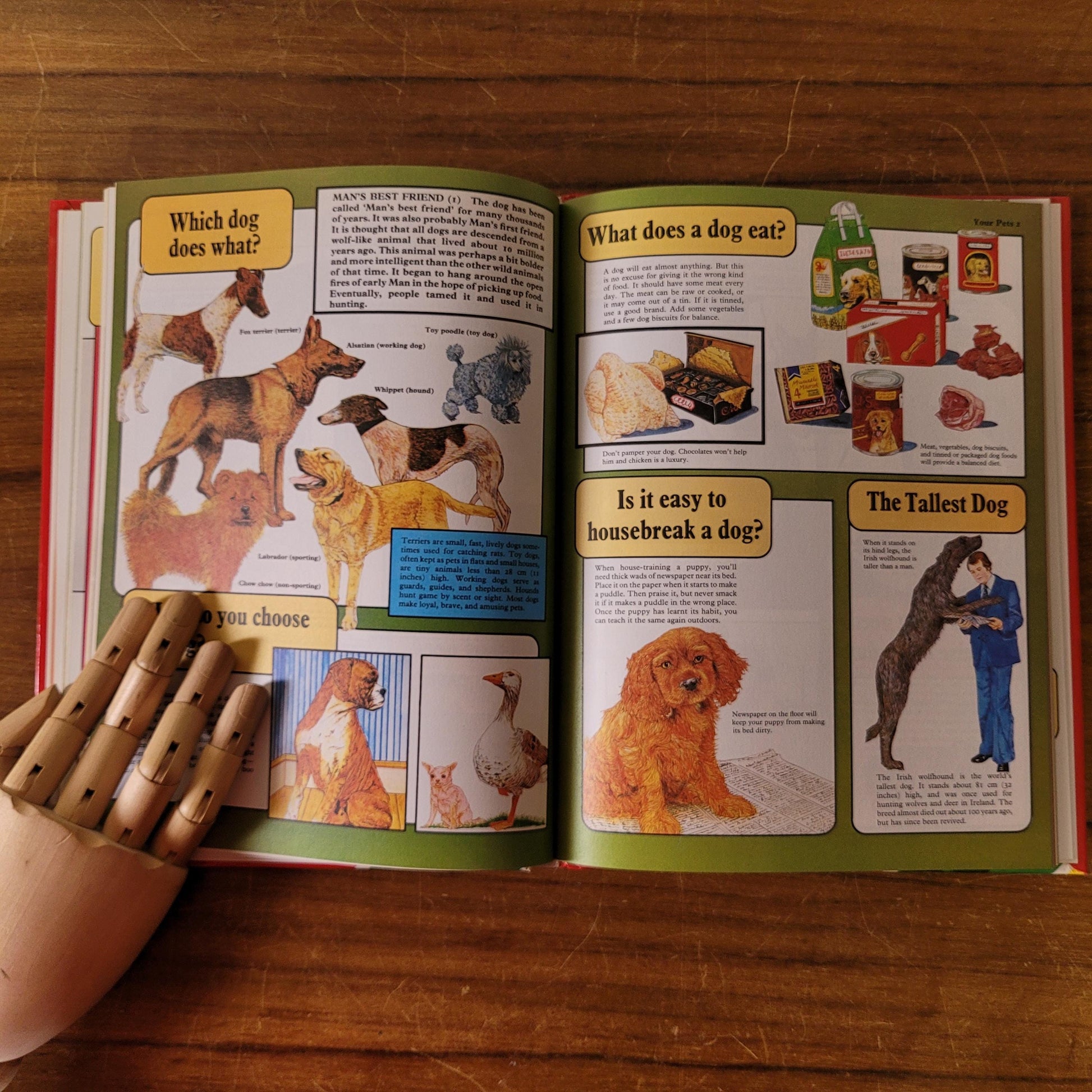The Big Book of Questions & Answers (Hardback, 1985)