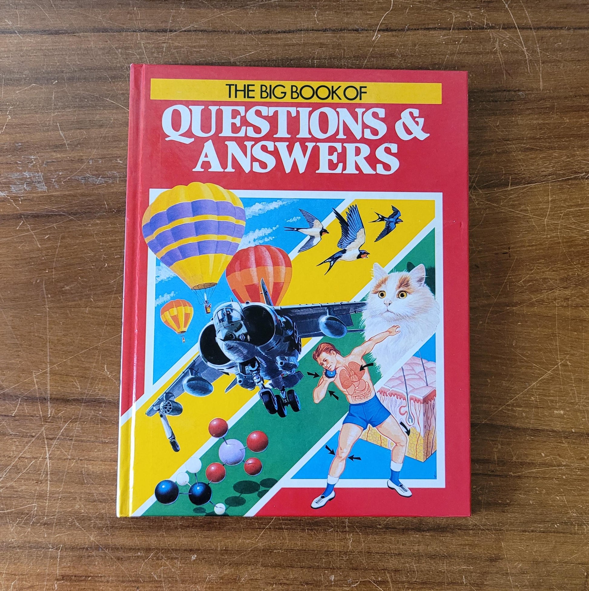 The Big Book of Questions & Answers (Hardback, 1985)