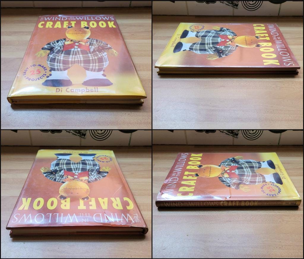 The Wind in The Wind Willows Craft Book, by Di Campbell (Hardback, 1992)