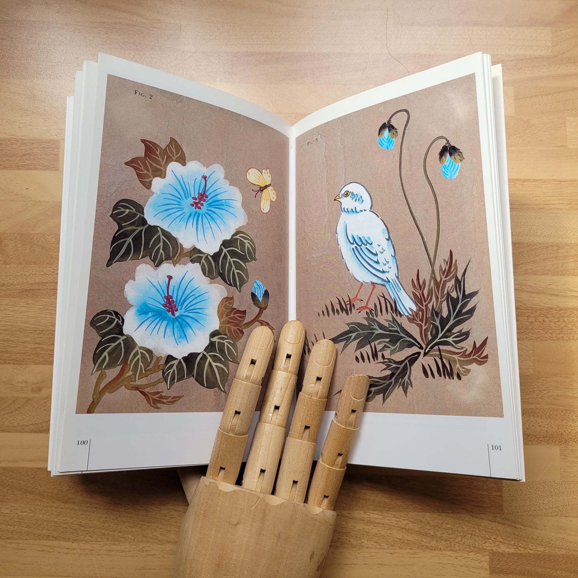 Chinese Flower Painting Techniques, by Stephen Cassettari (Softback, 1992)
