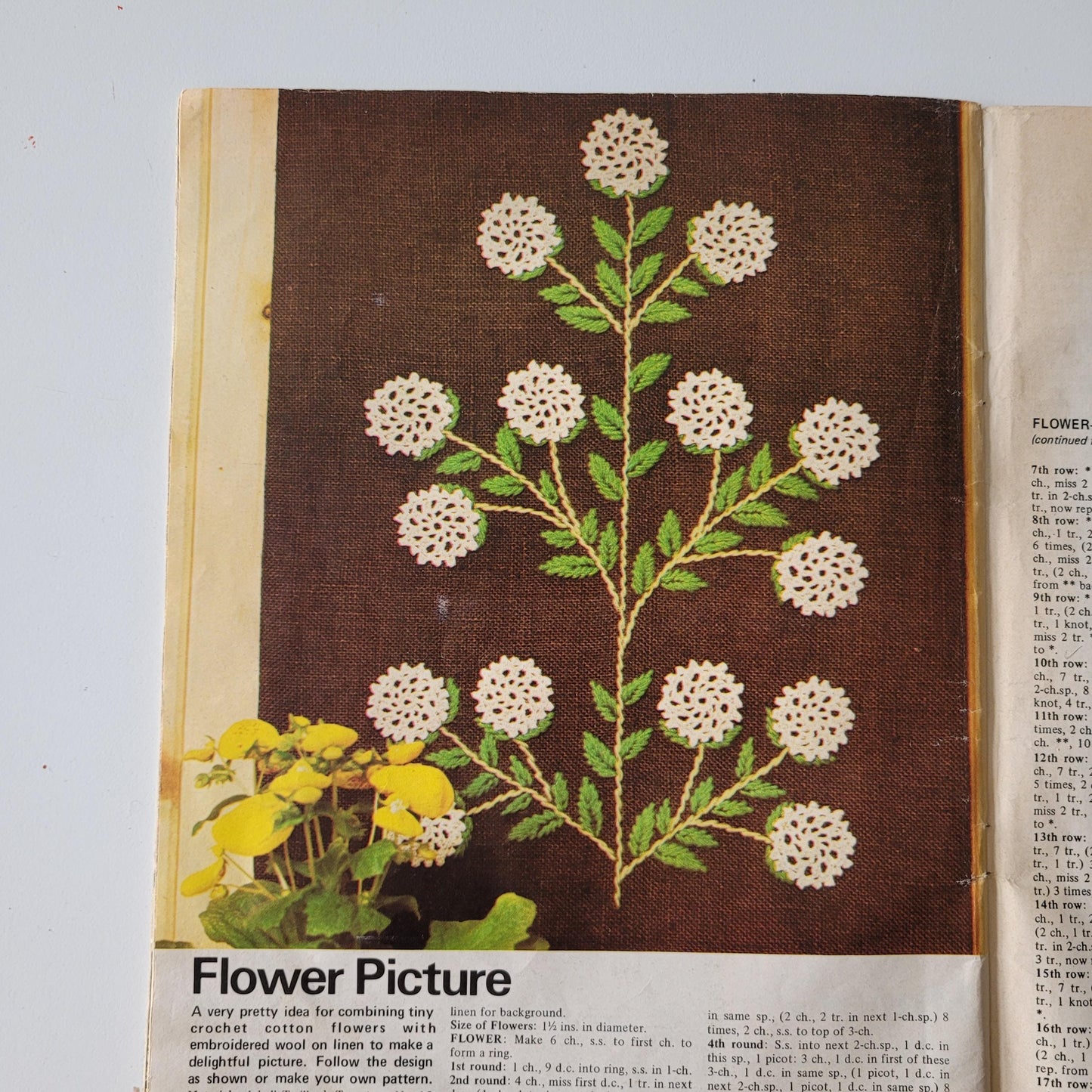 1973 Star Crochet - a knitting & crochet home craft special