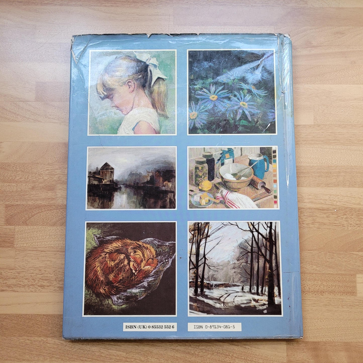 Painting with Pastels, edited by Peter D. Johnson (Hardback, 1984)
