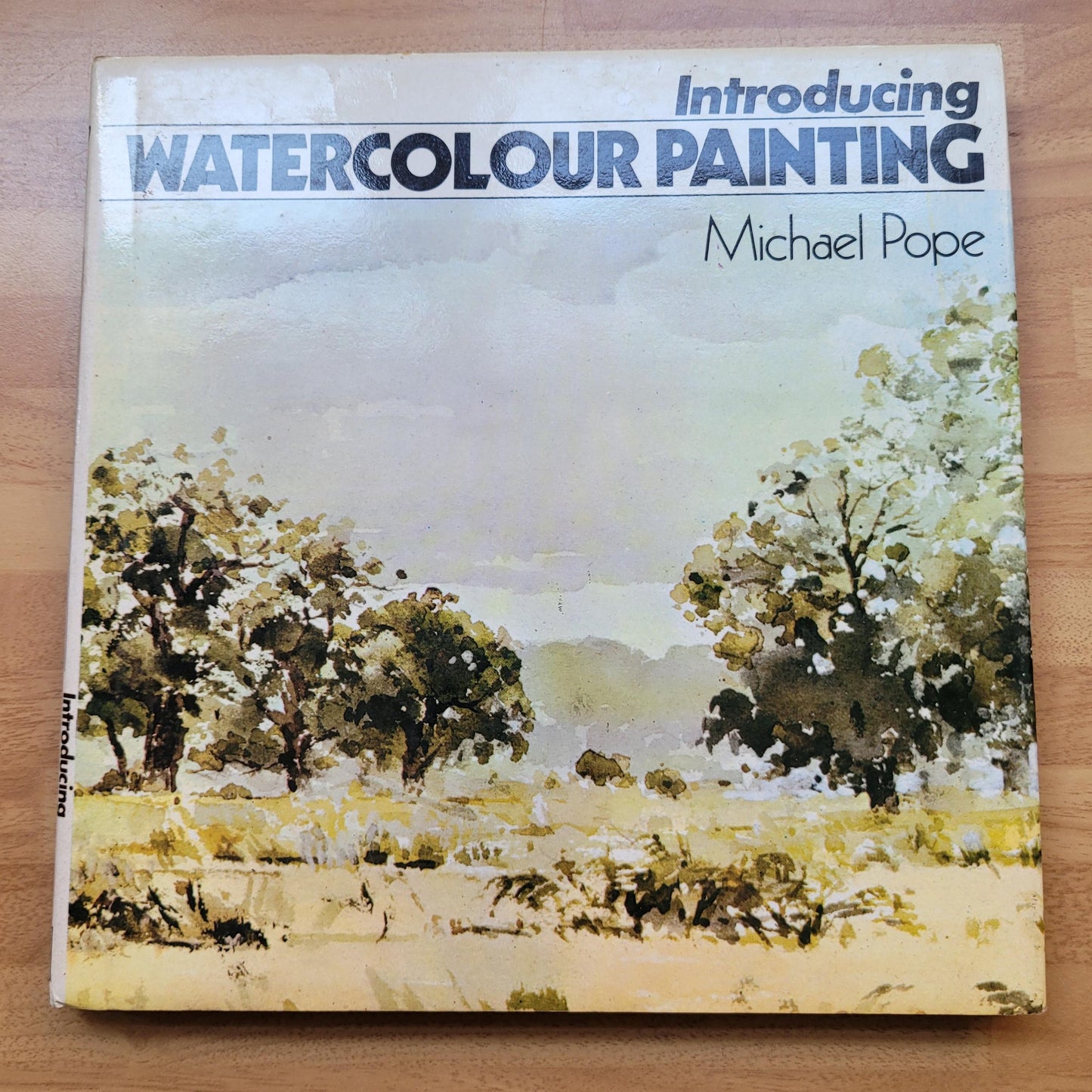 Introducing Watercolour Painting, by Michael Pope (Hardback, 1974)