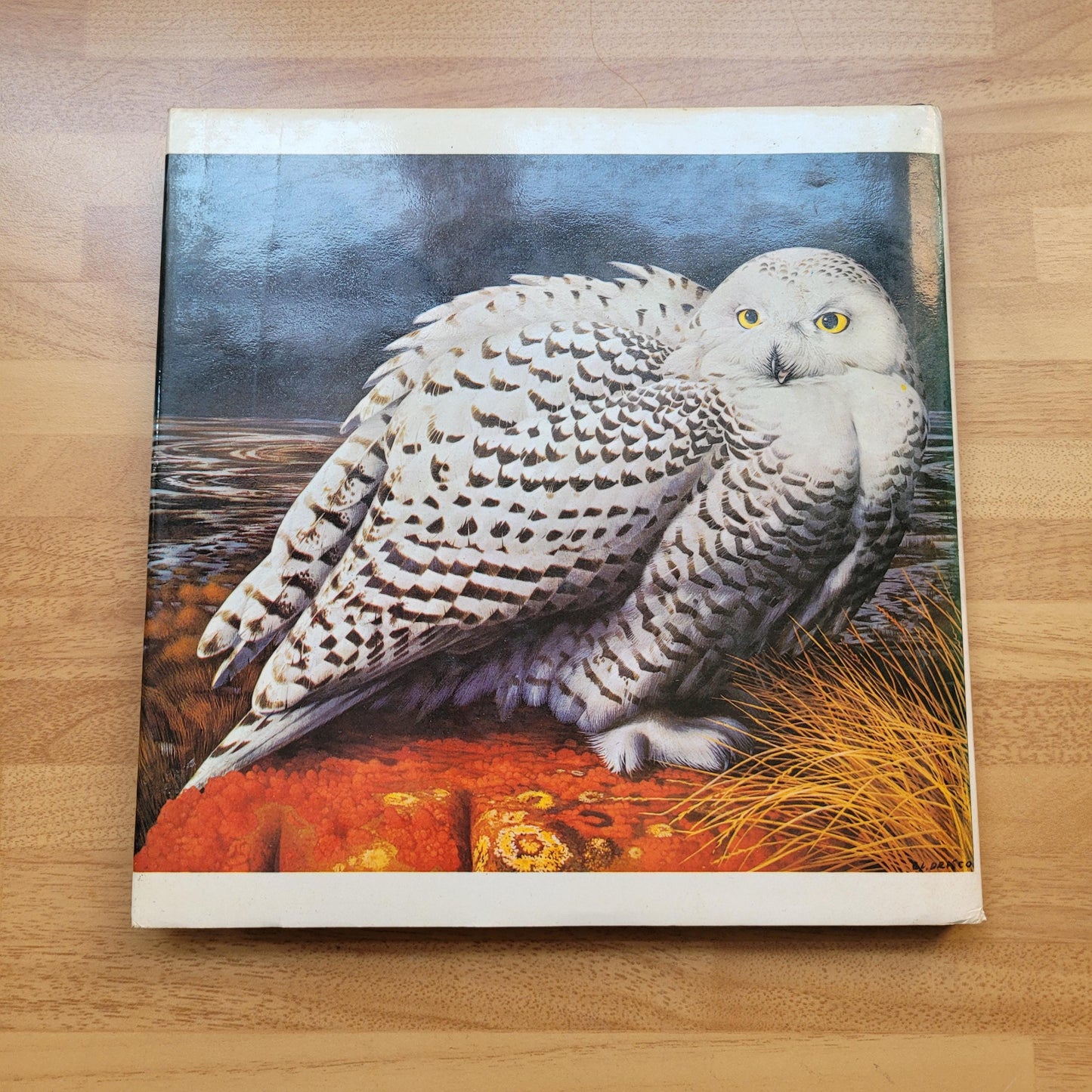 Introducing Watercolour Painting, by Michael Pope (Hardback, 1974)