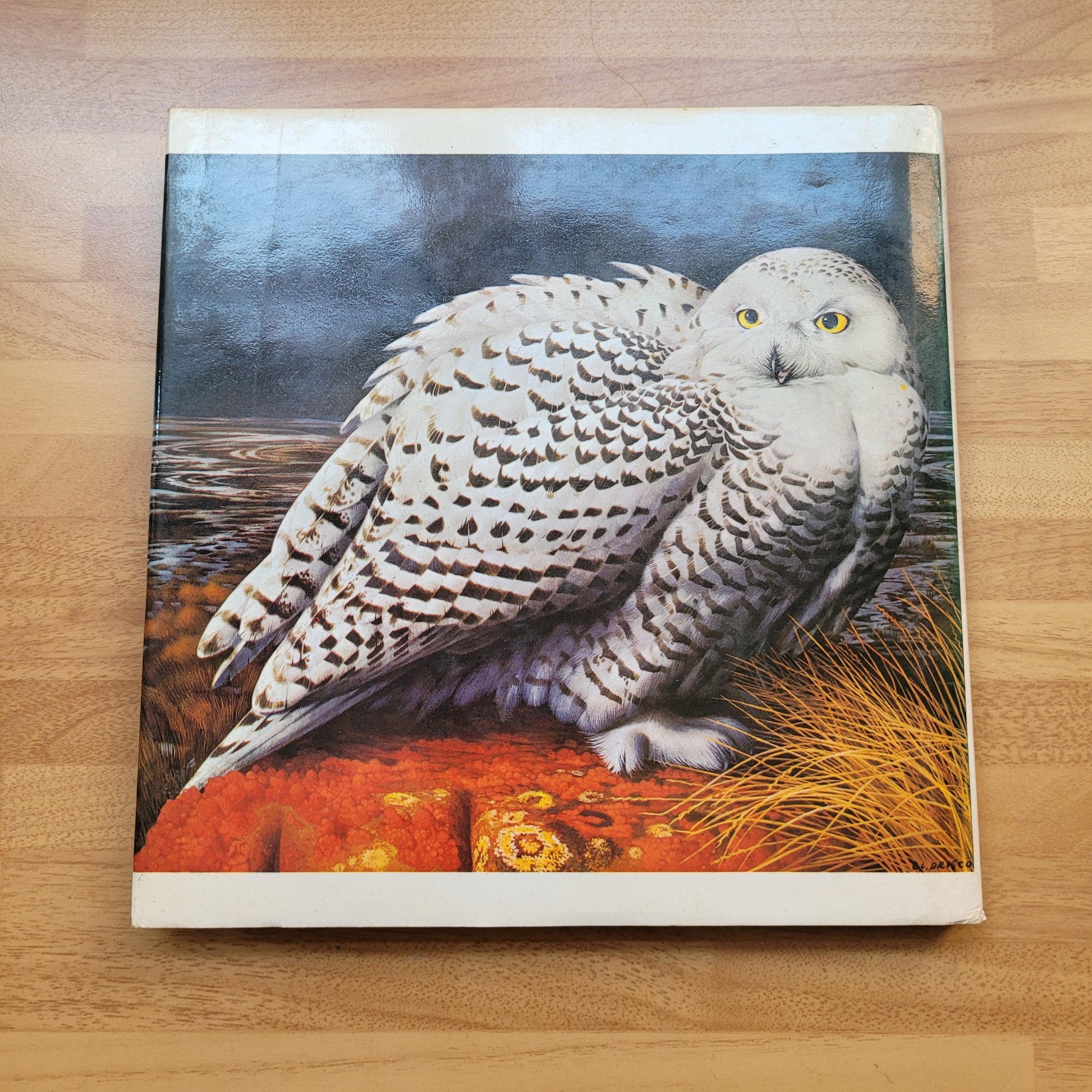 Introducing Watercolour Painting, by Michael Pope (Hardback, 1974)