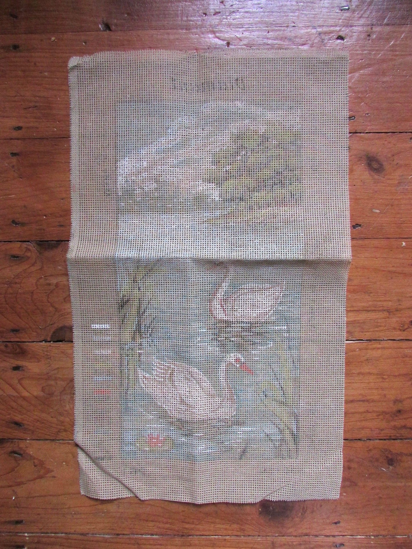 Diamant 261 Swans needlepoint printed tapestry (canvas only)