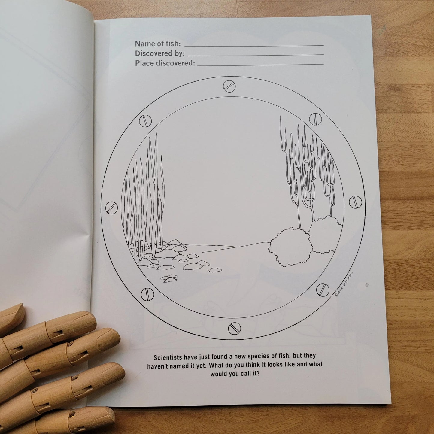 The Anti-Colouring Book, by Susan Striker, & Edward Kimmel (Softback, 1986)