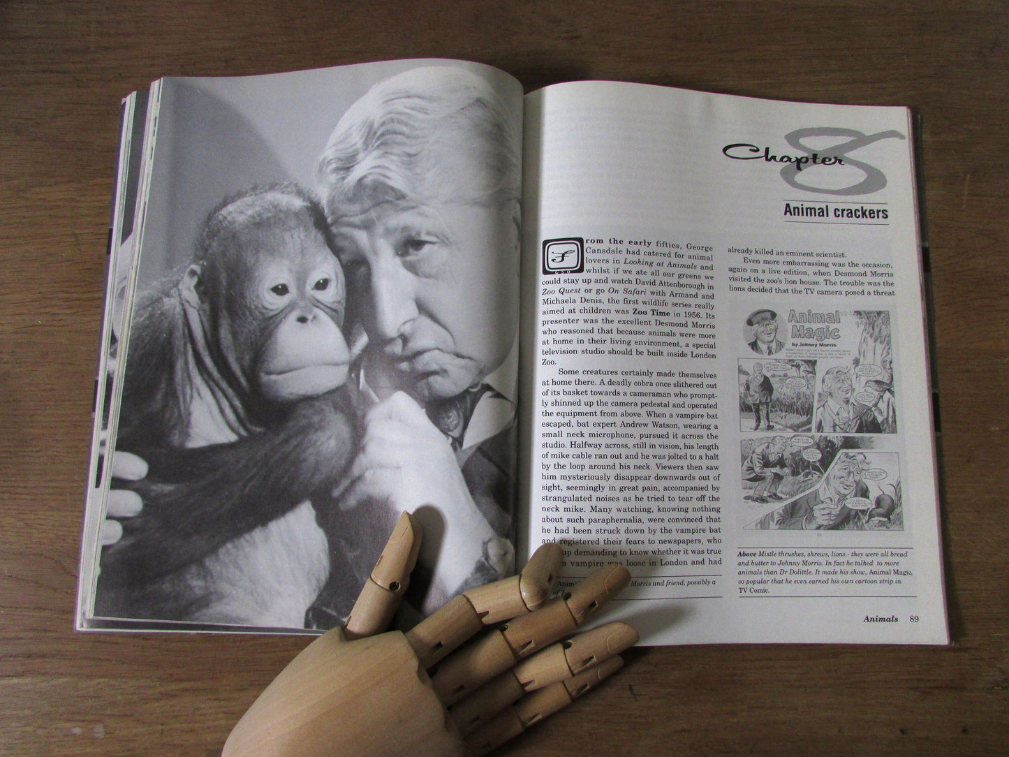 The Golden Age of "Children's Television", by Geoff Tibballs (Softback, 1991)