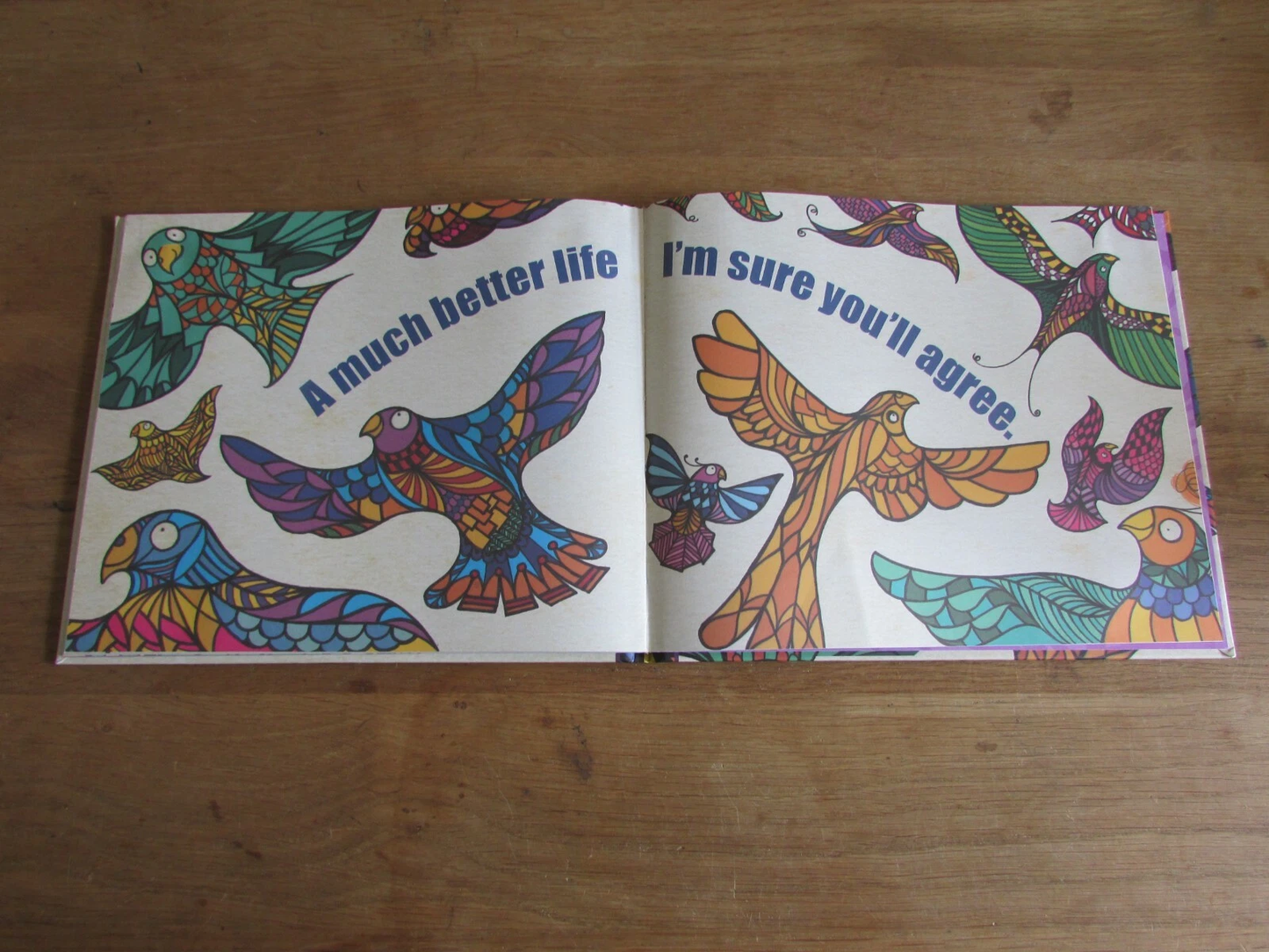 Some Birds, by Matt Spink (Hardback, 2016)