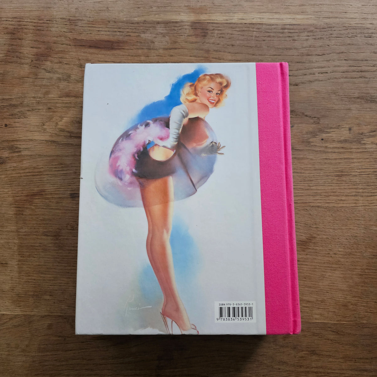 Taschen 365 Day-by-Day: Pin-Up, by Dian Hanson (Hardback, 2012) #1