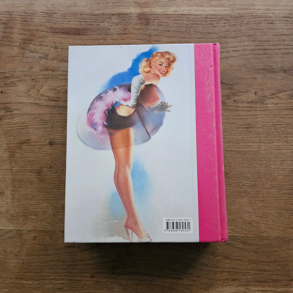 Taschen 365 Day-by-Day: Pin-Up, by Dian Hanson (Hardback, 2012) #2